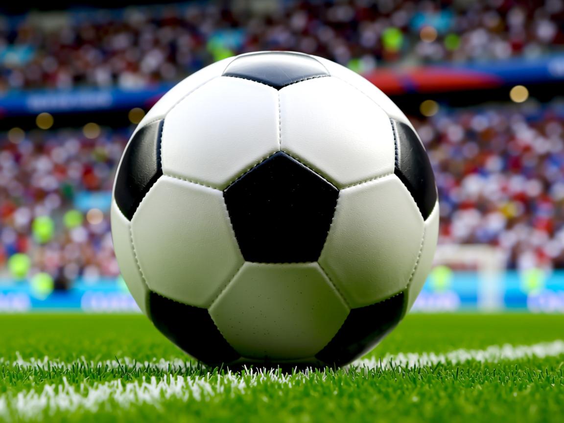 真人足球官网-德国队赛制应对全解析：国际乒联混合团体世界杯挑战前景，德国乒乓球联赛级别什么级别  第1张