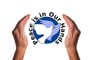 db gaming 官网-波兰队赛制分析：如何在团体赛制中保持稳定的表现，波兰球队如何  第3张